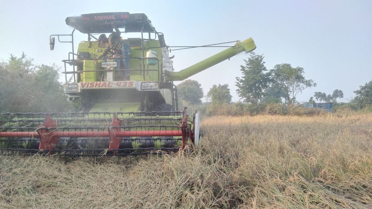 आसमान मैं बादलों का डेरा किसानों को सताने लगी चिंता,कही मौसम न फेर दे किसानों की मेहनत पर पानी, खेतो मैं पकी व अधपकी खड़ी धान की उपज