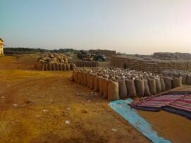 धान के परिवहन की कछुआ चाल से चिंता में खरीदी प्रभारी