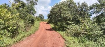 77 वर्षो के बाद बदलेगी पथराड़ी पिपरिया-निपानिया मार्ग की तस्वीर