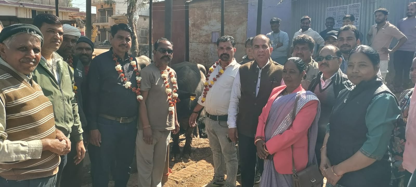 मुख्यमंत्री डेयरी प्लस योजना के तहत पशु पालको का सपना हो रहा साकार