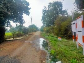 सिहोरा की सिलोड़ी में पंचायत के स्वच्छता अभियान के नाम पर खानापूर्ती