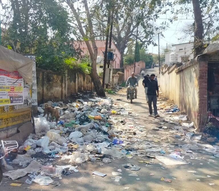 समस्या:यहां कौन करेगा सफाई ?गंदगी से होकर गुजर रहे राहगीर