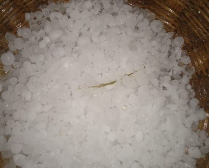 बारिश और तेज हवाओं के साथ गिरे ओले, गेंहू की फसल को नुकसान,अन्नदाता पर मौसम की मार