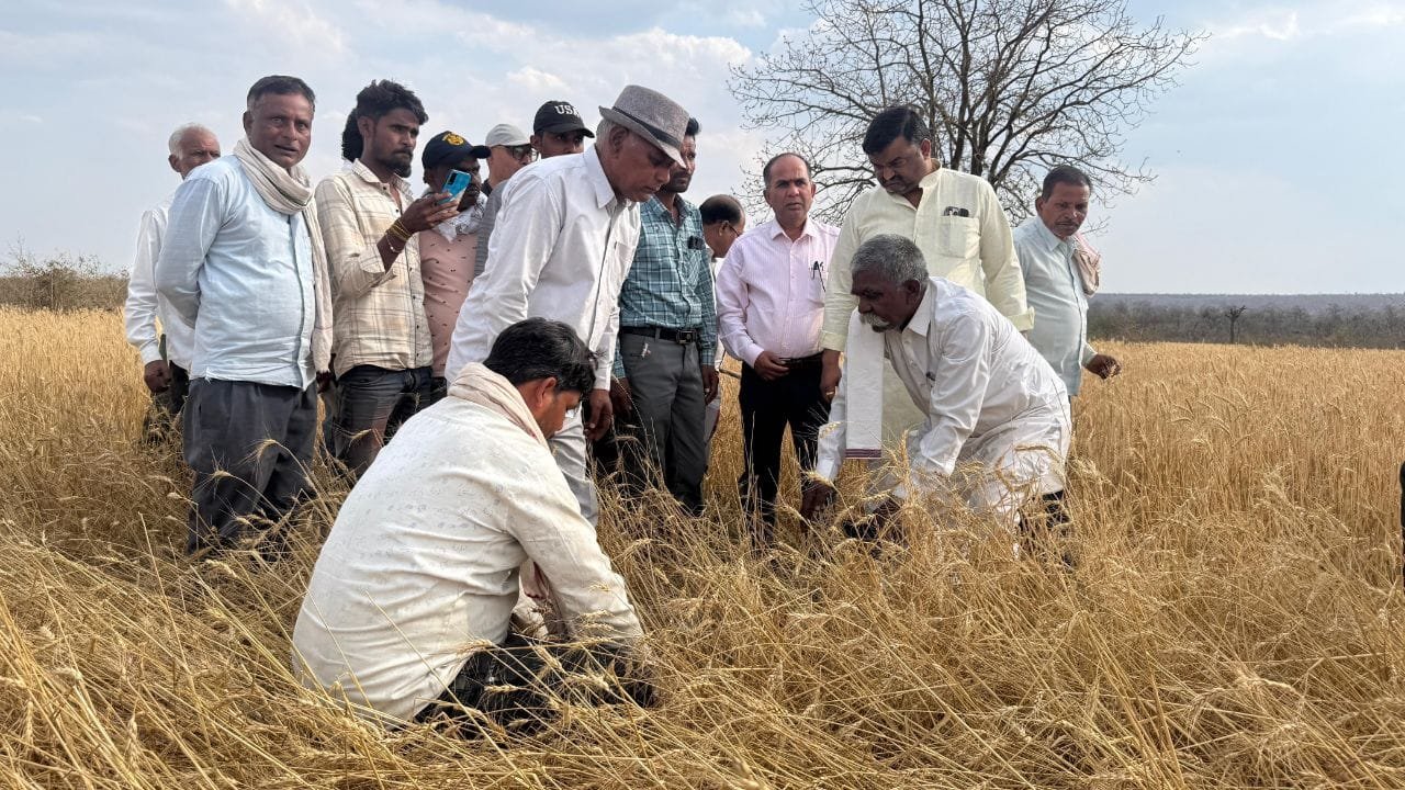 बारिश और ओलावृष्टि से प्रभावित फसलों का खेतो मैं जाकर करे सर्वे