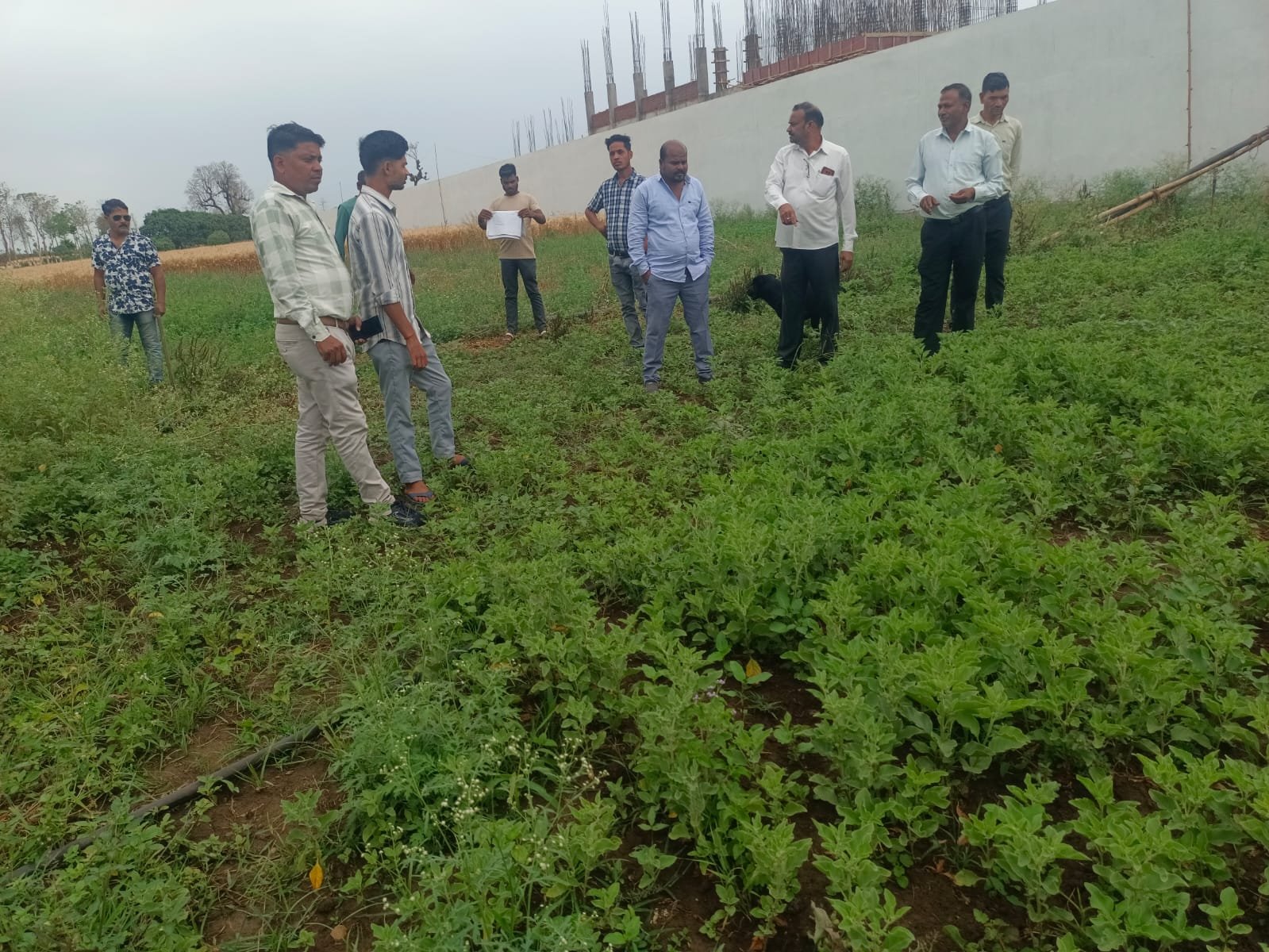 किसान के खेत पहुंचे छात्र, आधुनिक खेती देख हुए प्रेरित