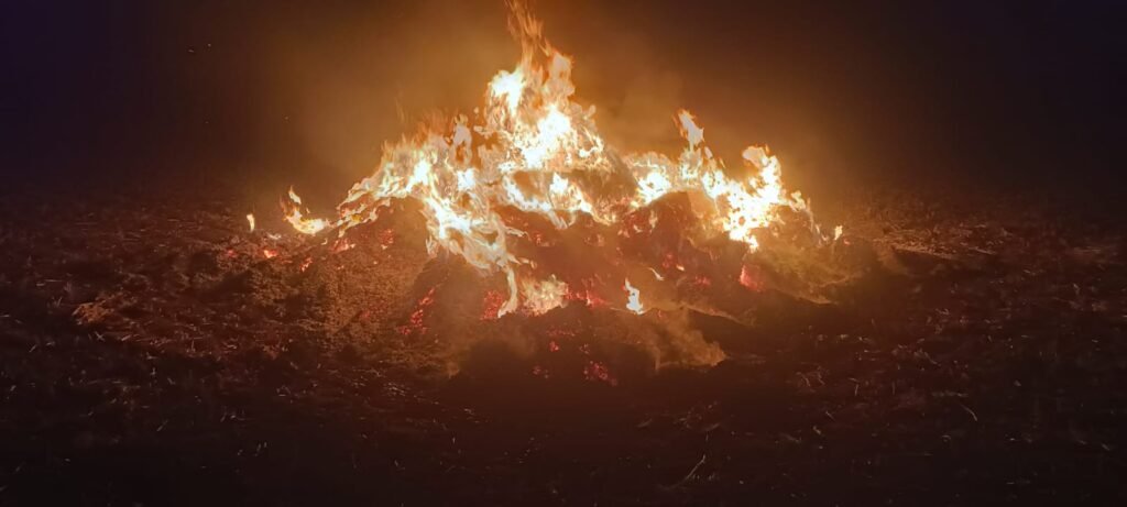 सिहोरा में किसान की मेहनत हुई राख,चना के 350 बोझा जलकर खाक 