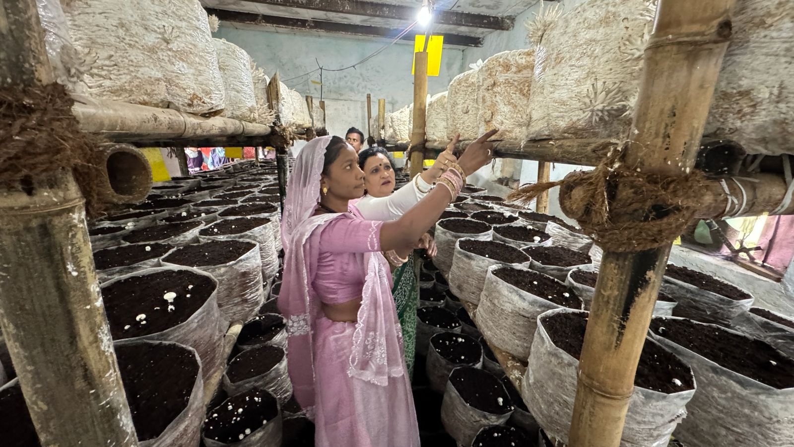 शैलेन्द्र ने दिखाई युवाओं को नई राह,घर के खाली कमरों में बना डाली मशरूम प्रोडक्शन यूनिट
