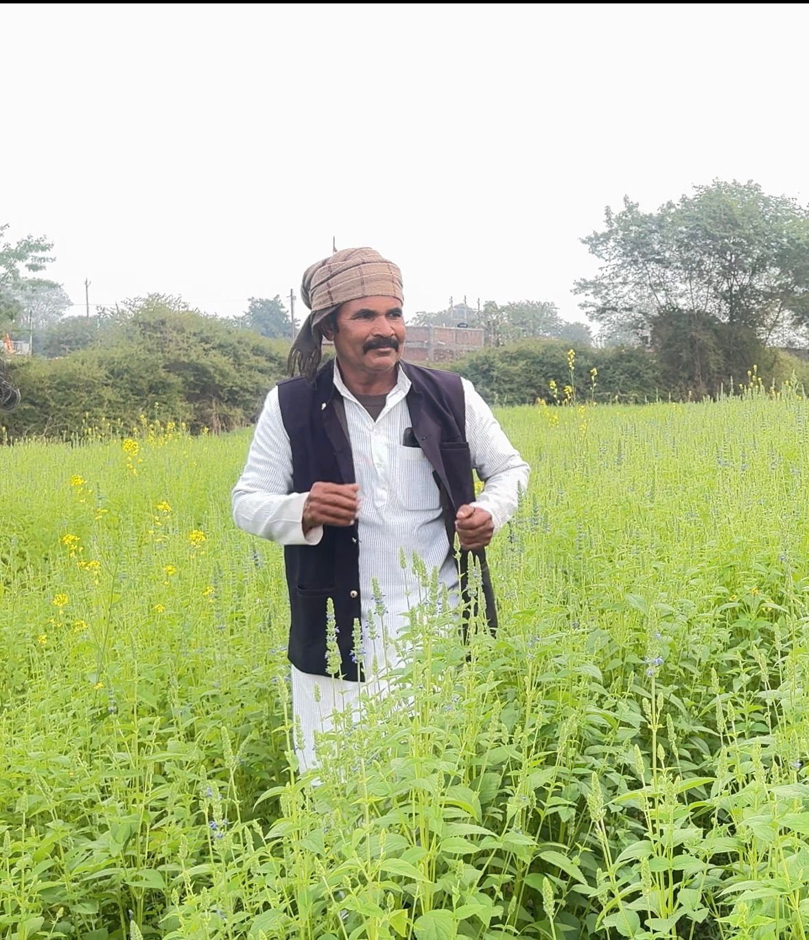कम लागत, कम पानी और कई गुना ज्यादा मुनाफे ने बदली किसान की तकदीर