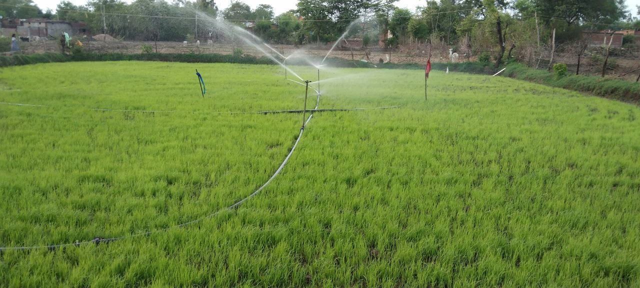 किसानो को झमाझम बारिश का इंतजार,आसमान की ओर लगाए बैठे टकटकी 