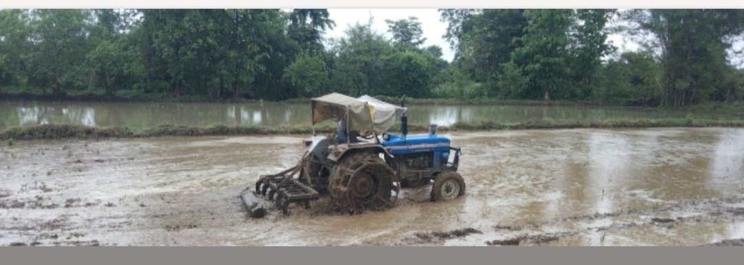 झमाझम बारिश से नदी व नाले उफान पर, कृषि कार्य मैं जुटे अन्नदाता
