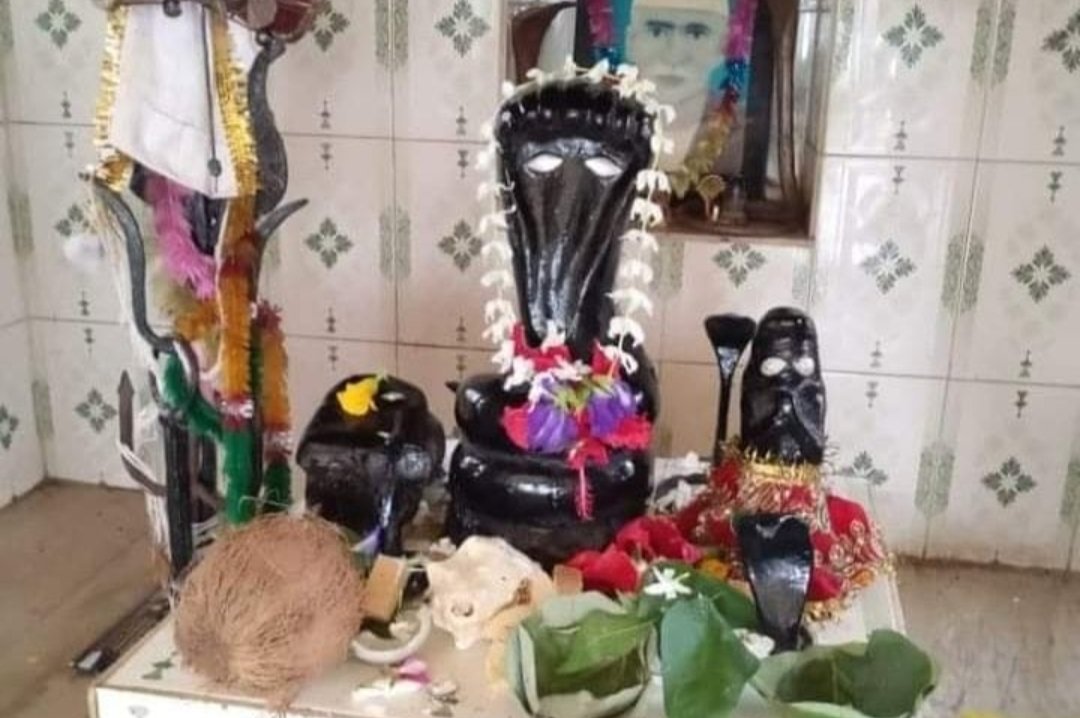 नागदेवता को दूध अर्पित कर की गई पूजा अर्चना,भक्तो ने आरती उतार सुख समृद्धि की कामना