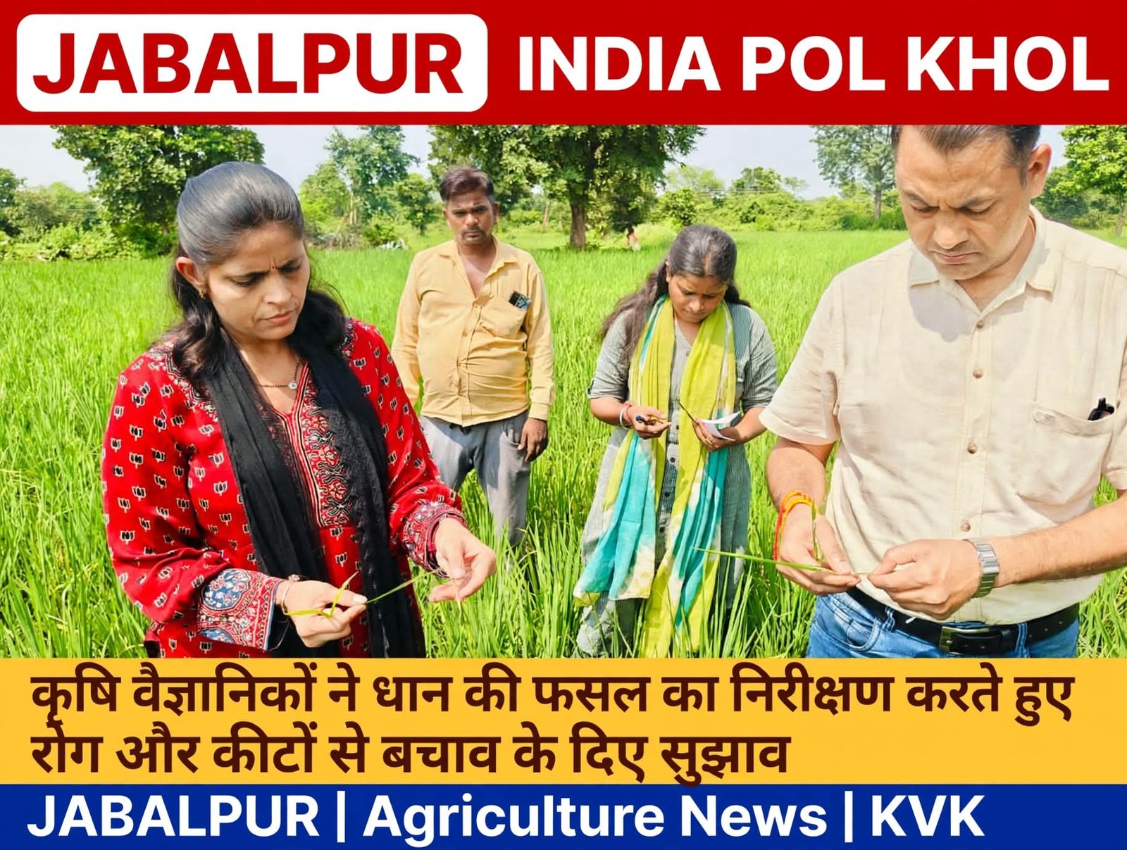 कृषि वैज्ञानिकों ने धान की फसल का निरीक्षण करते हुए रोग और कीटों से बचाव के दिए सुझाव