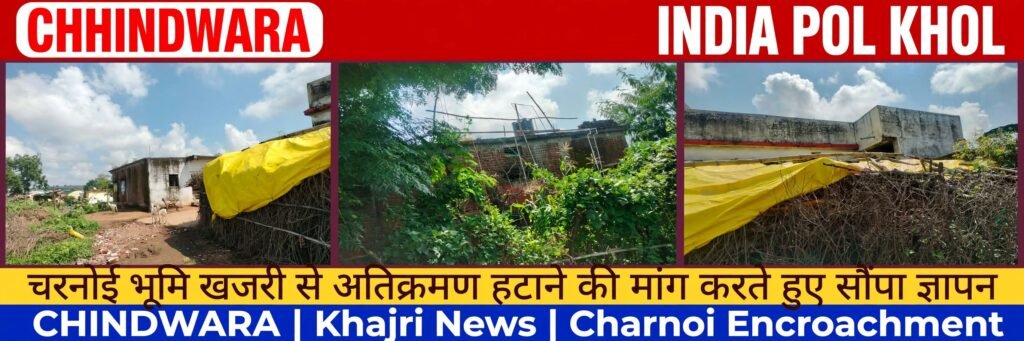 चरनोई भूमि पर भूमाफियाओं की नजर,अतिक्रमण हटाने की मांग करते हुए सौपा ज्ञापन