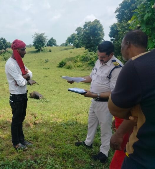 खितौला में करेंट लगने से दो भैसों की मौत,मक्का की रखवाली करने फैलाया मौत का तार