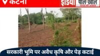 सरकारी भूमि पर कब्जा कर कृषि कार्य करने हजारों हरे भरे पेड़ -पौधो की कर दी गईं कटाई